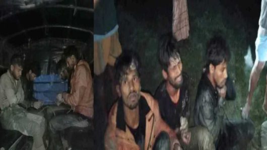 দুই ভাইসহ ৪ জন গ্রেপ্তার বরগুনায় ডাকাতির প্রস্তুতিকালে