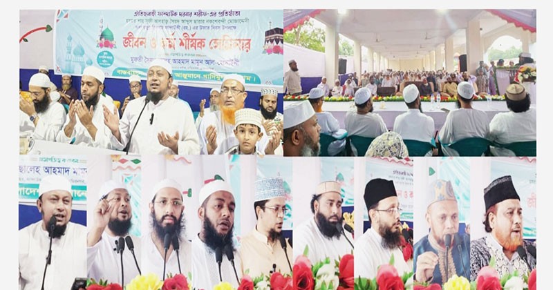 কোন আত্মঘাতী সিদ্ধান্ত নিবেন না ইসলাম ও স্বাধীনতার বিরুদ্ধে