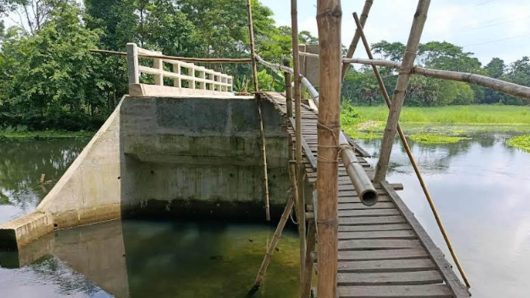 পার হতে হচ্ছে মই দিয়ে আগৈলঝাড়ায় ২৭ লক্ষ টাকার ব্রীজ