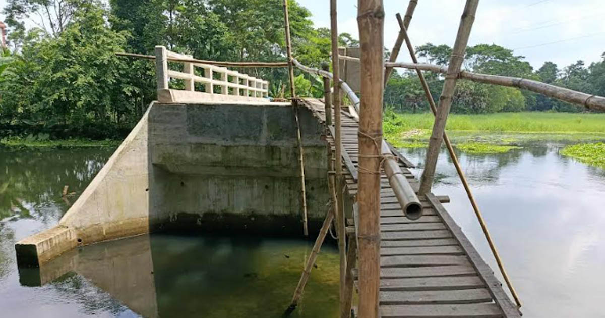 পার হতে হচ্ছে মই দিয়ে আগৈলঝাড়ায় ২৭ লক্ষ টাকার ব্রীজ