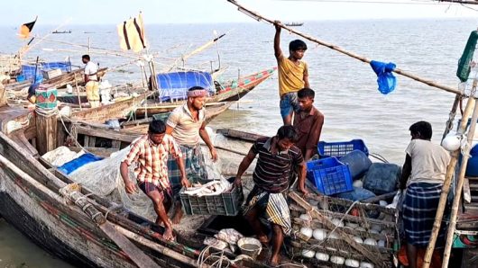 মিলছে না কাঙ্খিত ইলিশ নদীতে জাল ফেলছেন জেলেরা