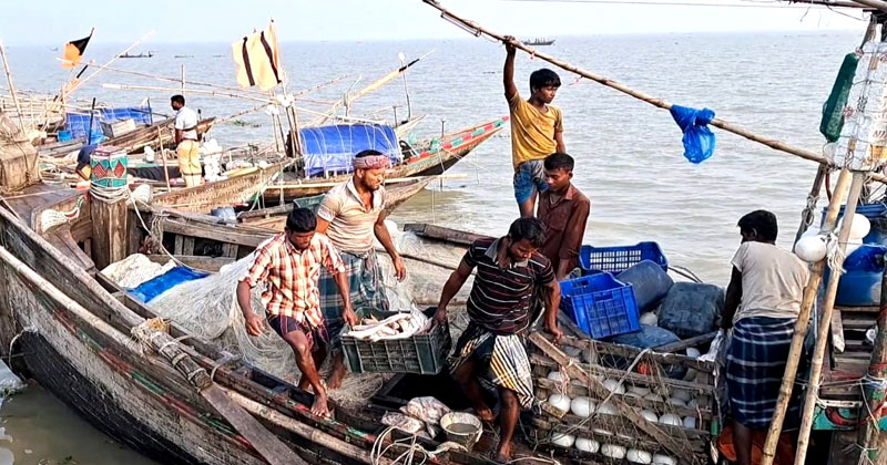 মিলছে না কাঙ্খিত ইলিশ নদীতে জাল ফেলছেন জেলেরা