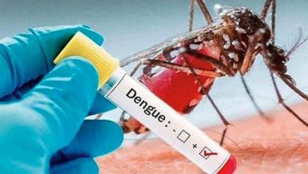 ১০৪২ হাসপাতালে ভর্তি ডেঙ্গুতে আরও ৯ জনের মৃত্যু