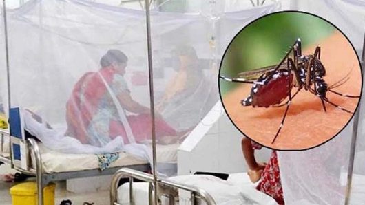 হাসপাতালে ভর্তি ৪১০ ডেঙ্গুতে একদিনে