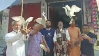 সলঙ্গায় ১০টি বক পাখি অবমুক্ত করলেন সমাজসেবক হাজী সেলিম